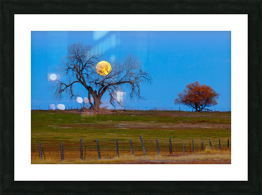 Supermoons Gilded Ascent A Celestial Masterpiece Picture Frame print