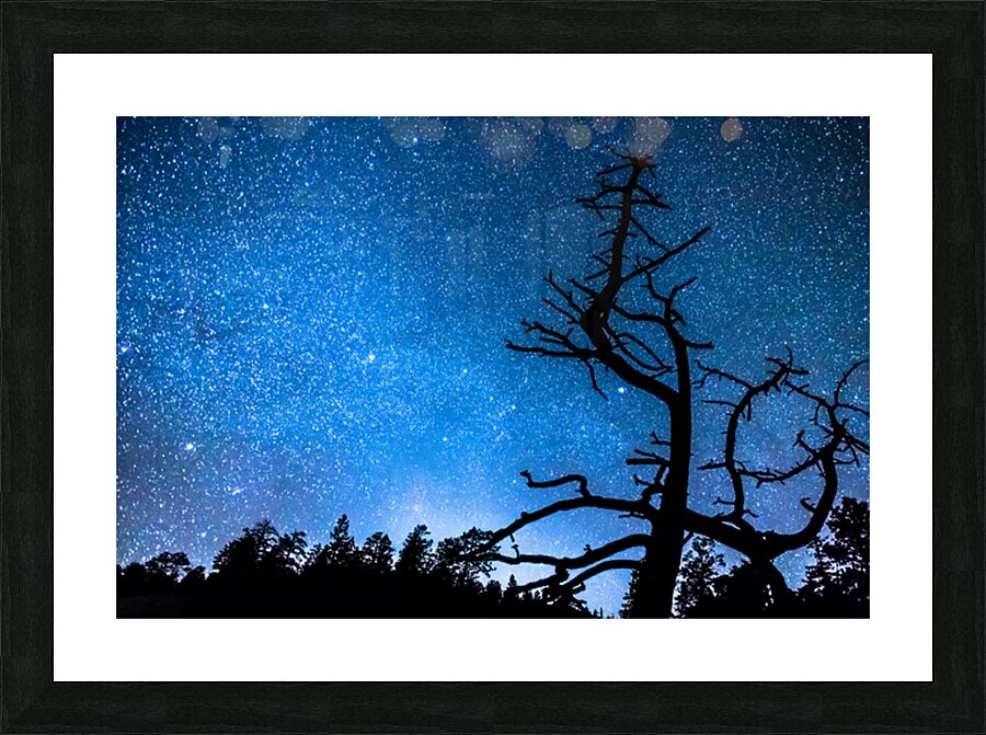 Starry Night at Bryce Canyon Impression et Cadre photo