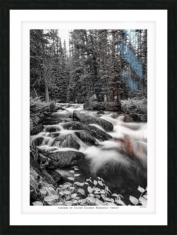 Cascade of Silver Silence Roosevelt Forest Picture Frame print