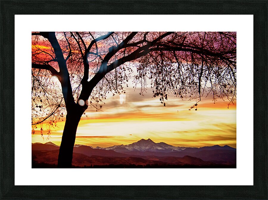 Colorado Sunset with Twin Peaks and Tree Silhouette Impression et Cadre photo
