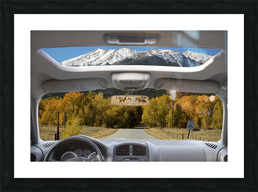 Colorado Road Trip View Snowy Peaks Golden Aspen Picture Frame print