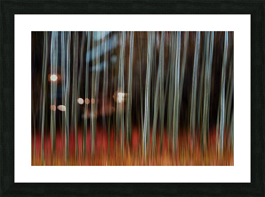 Whispers of Shadowed Light Fine Art Forest Motion Photography Picture Frame print