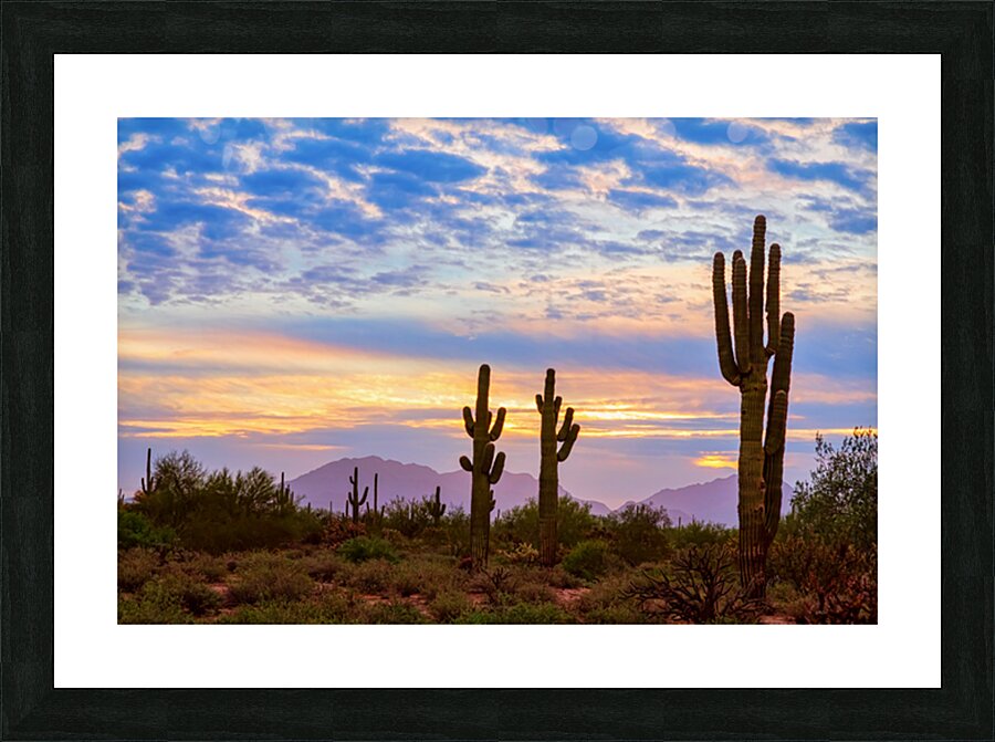 Colorful Sonoran Desert Sunrise in Beautiful Arizona Picture Frame print