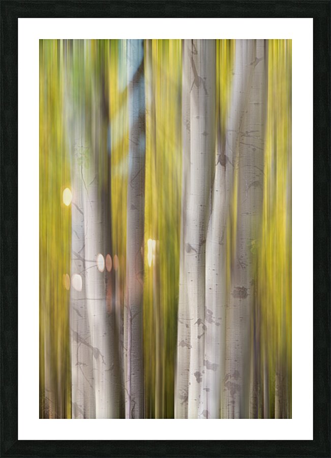 Autumn Aspen Dreamscape Abstract Landscape Impression et Cadre photo
