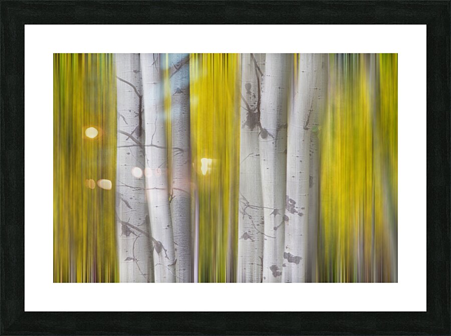 Golden Aspen Abstraction Fine Art Landscape Impression et Cadre photo