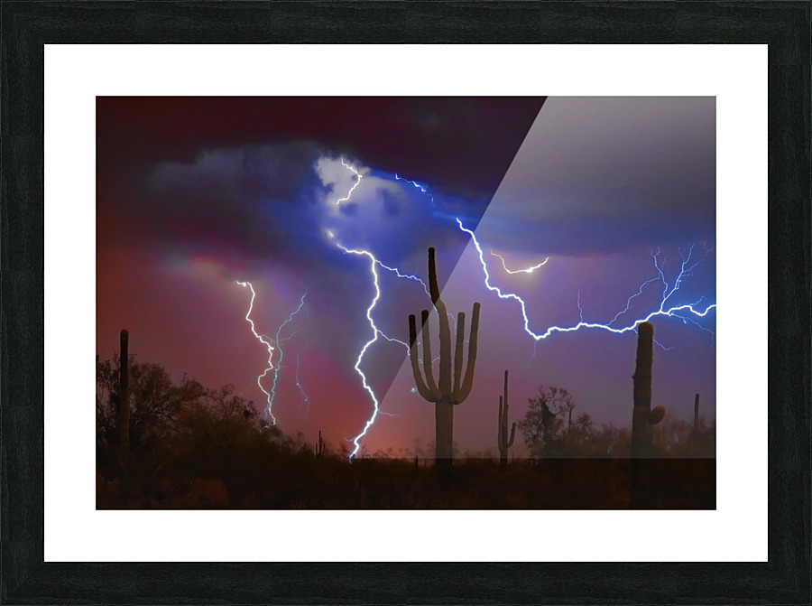 Saguaro Lightning Storm Picture Frame print