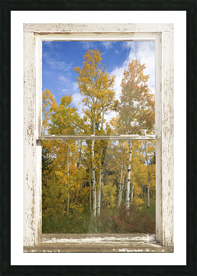 Colorado Autumn Aspens Nature Window View Picture Frame Printing
