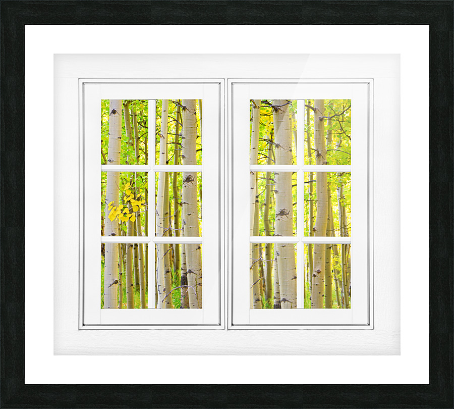 Aspen Forest White Picture Window Frame View Cadre photo