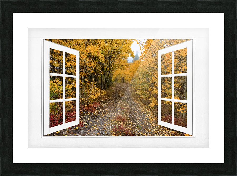 Colorful Trees Down the Drive White Open Window Picture Frame Printing