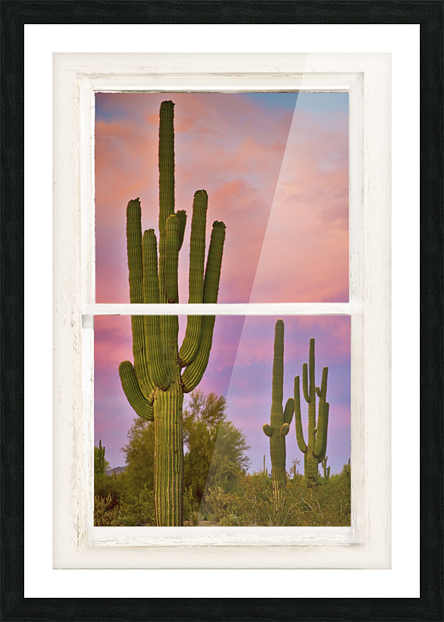 Colorful Southest White Distressed Window View Cadre photo