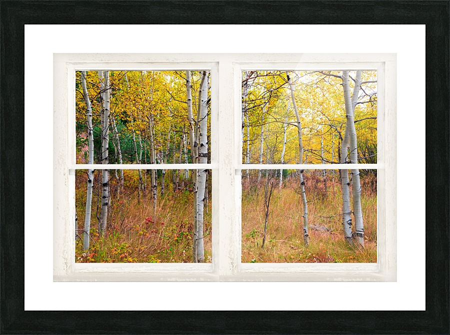 Happy Forest  Autumn Season Rustic Window View Cadre photo