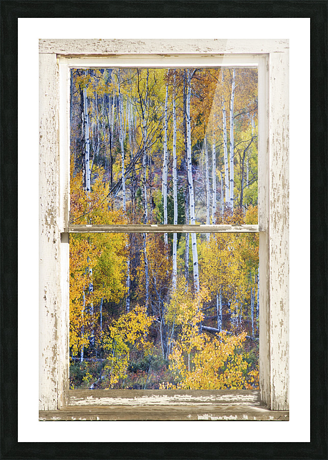 Aspen Autumn Magic White Window Cadre photo