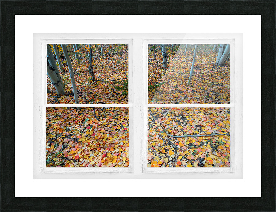 Mother Nature Whitewash Picture Window View Picture Frame print