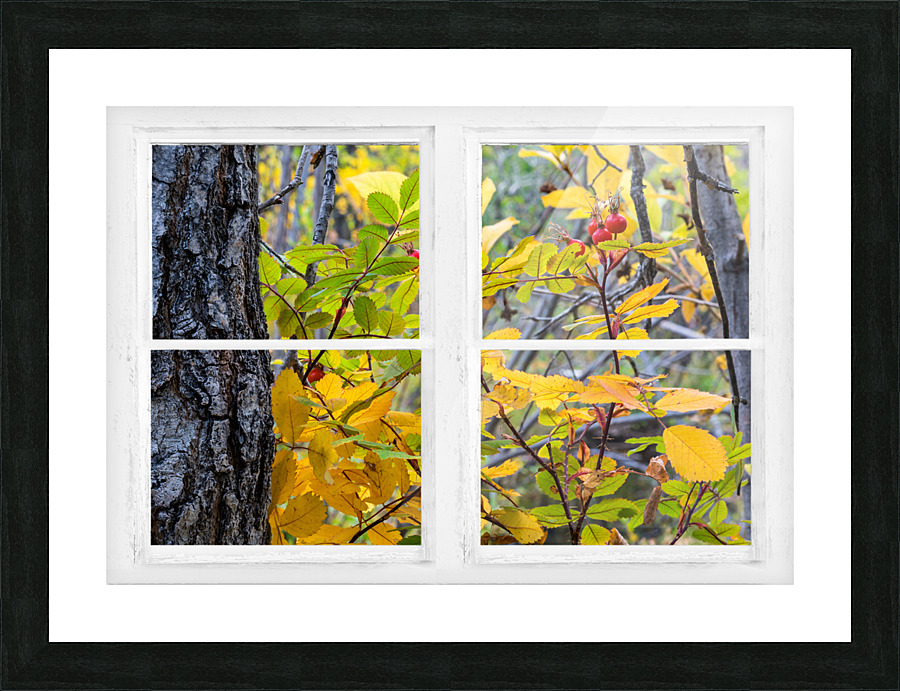 Wild Red Berries Forest Whitewash Picture Window Picture Frame print