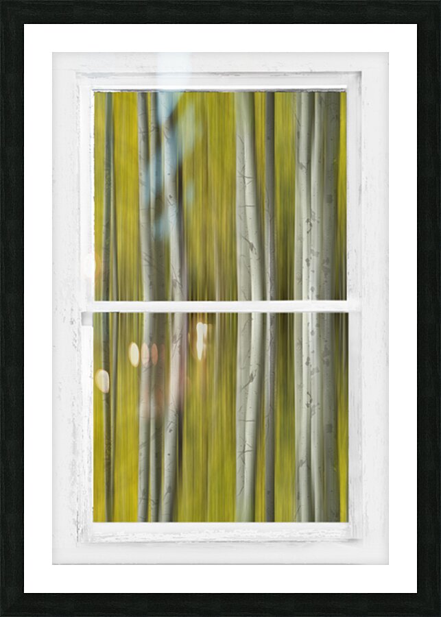 Surreal Dreamy Aspen Forest White Rustic Window Picture Frame Printing