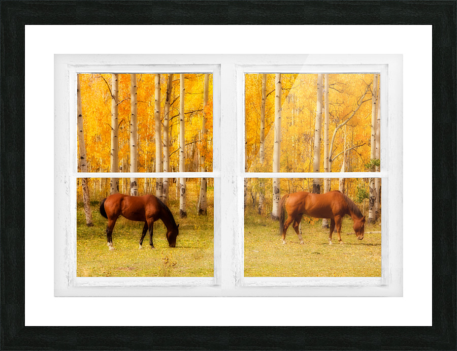 2 Horses Aspen Trees Whitewash Picture Window Picture Frame Printing