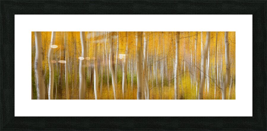 Golden Forest Moment Abstract Panorama Impression et Cadre photo