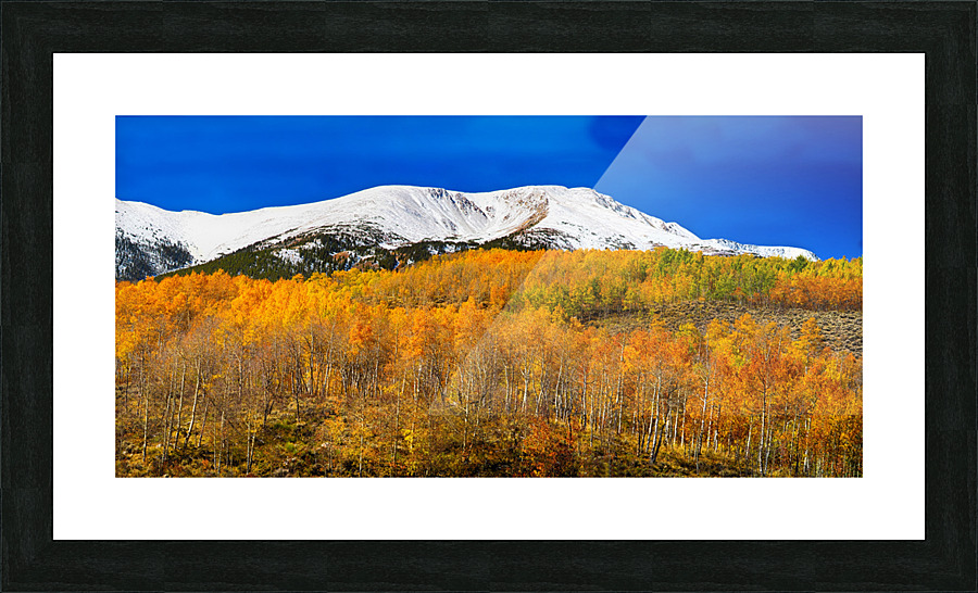 Colorado Rocky Mountain Independence Pass  Picture Frame print