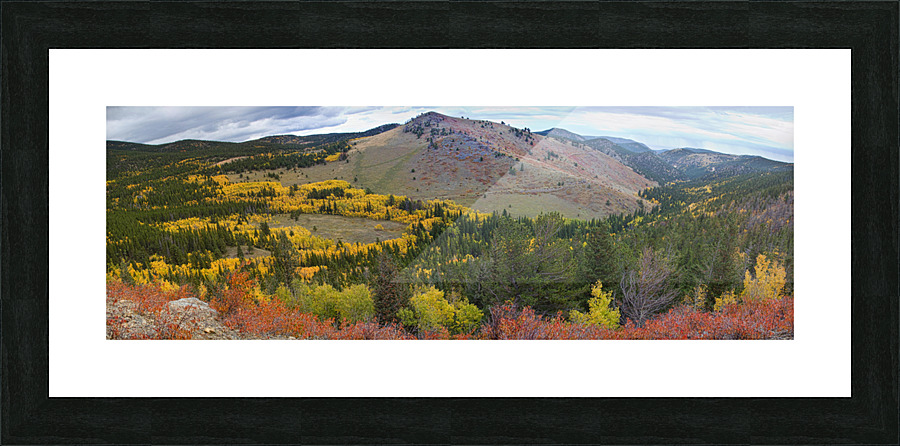  Fine Art print