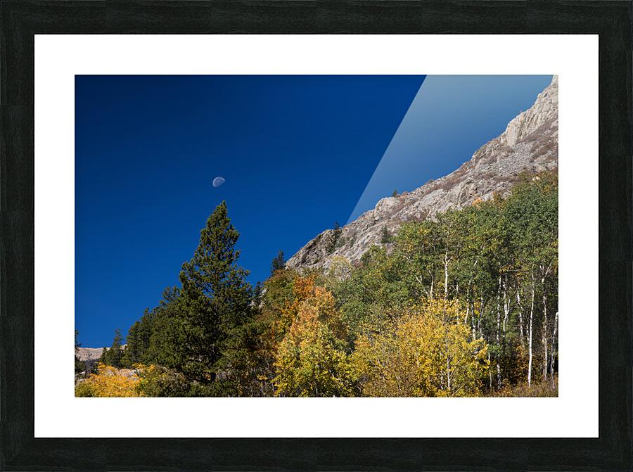 Autumn Bella Luna Impression et Cadre photo