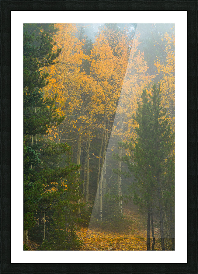 Gate Keepers Impression et Cadre photo