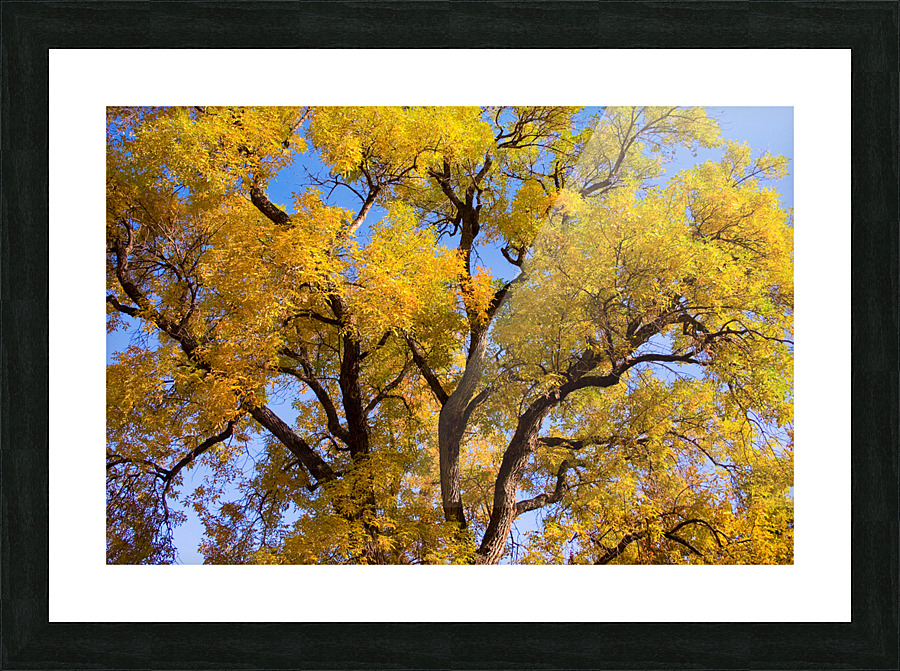  Magical Mystery Tour  Impression et Cadre photo