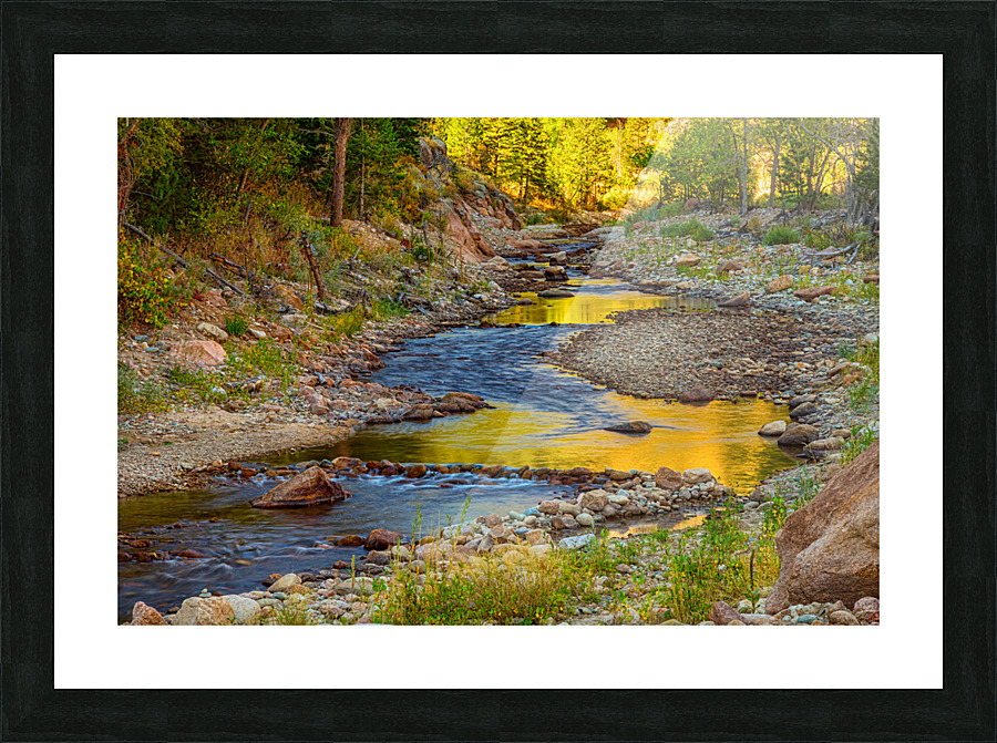 Golden Fishing Stream Picture Frame print