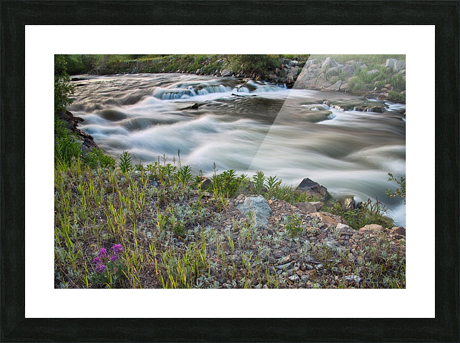 South Boulder Creek Summer View Picture Frame print