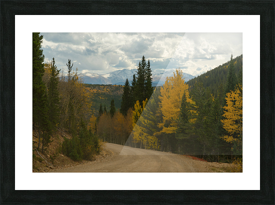 Dirt Road Paradise Cruising Picture Frame print