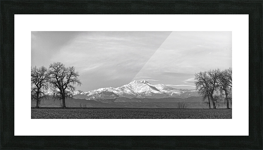 Twin Peaks Between The Trees BW Panorama Impression et Cadre photo