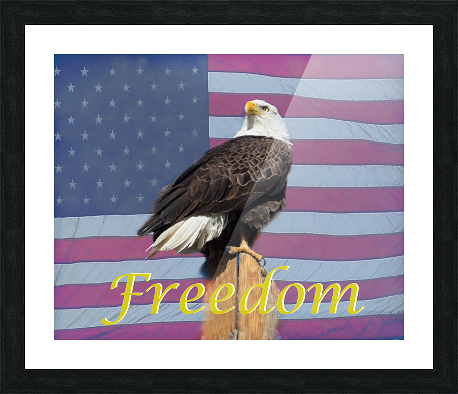 American Freedom Picture Frame print