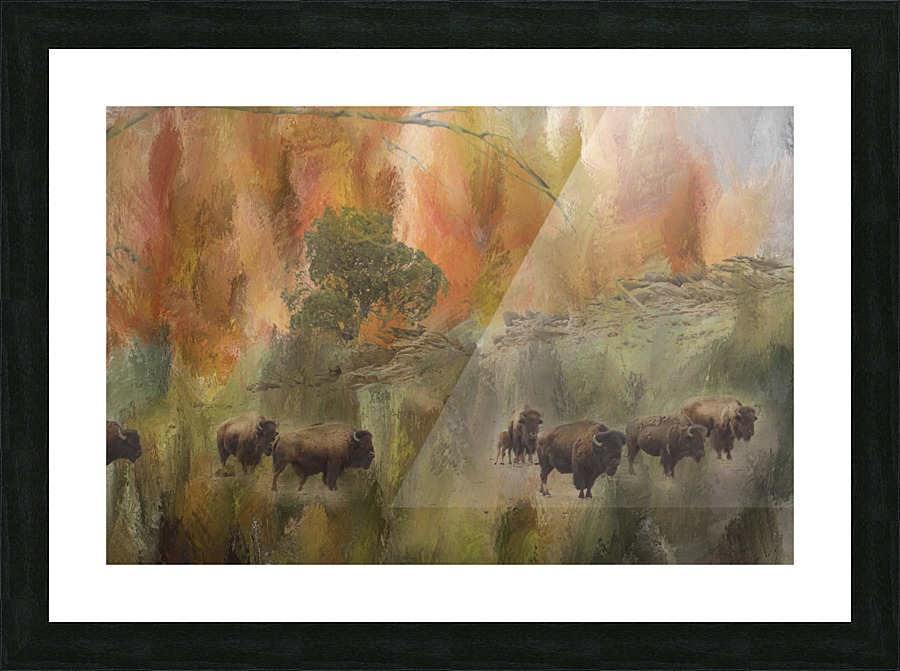 Bison Herd Watching Picture Frame print