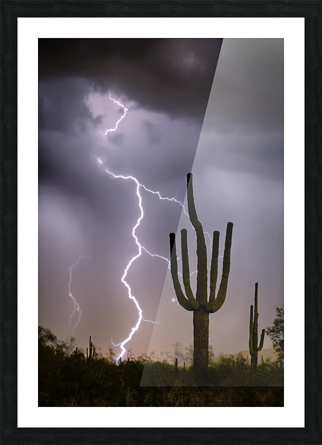 Sonoran Desert Monsoon Storming Picture Frame print