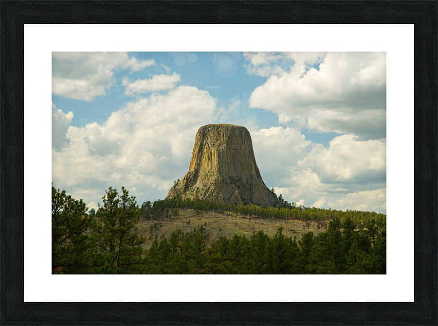 Majestic Devils Tower in Wyoming Amidst Pine Forest Picture Frame print