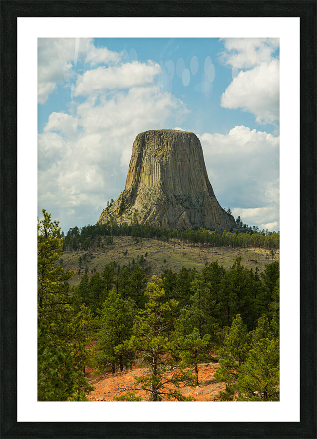 Majestic Devils Tower in Wyoming Surrounded by Pine Forest Picture Frame print