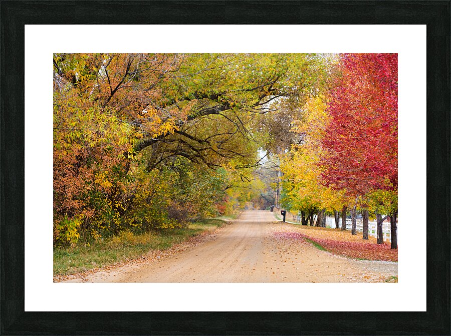 Autumns Country Retreat - A Canopy of Color Picture Frame print