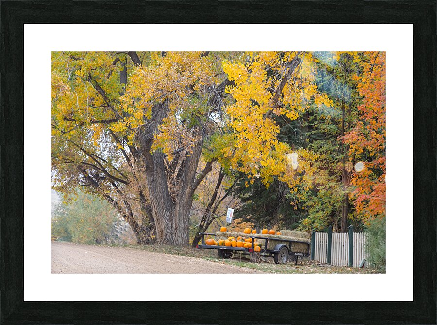Autumns Bounty - A Country Road Market Impression et Cadre photo