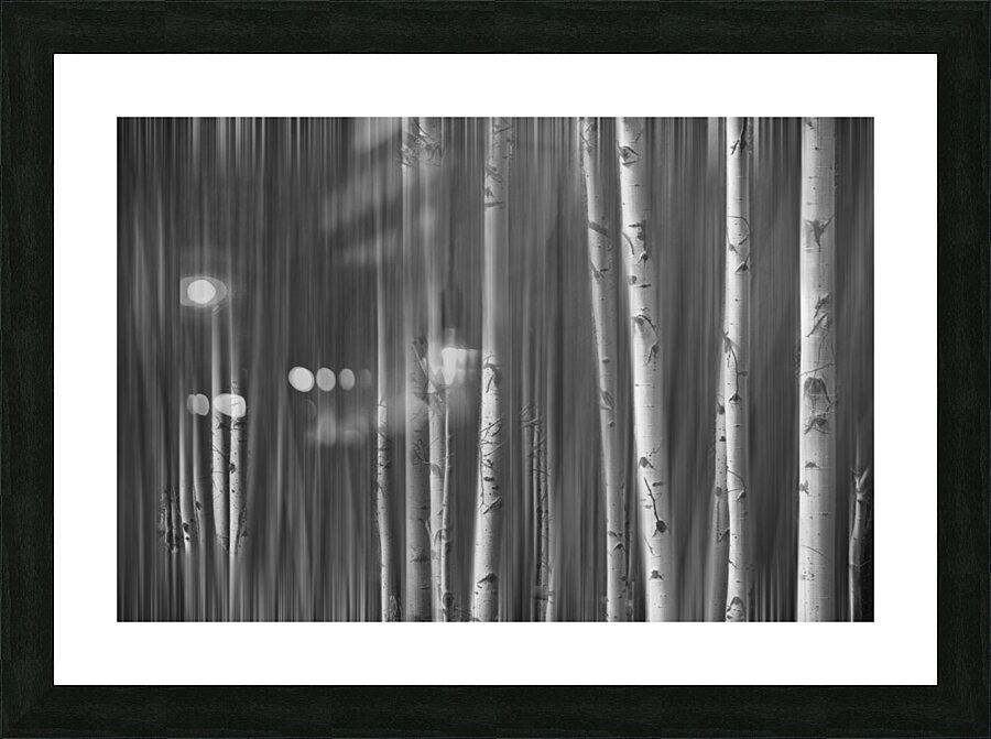Somewhere Along the Road Dreaming Black and White Picture Frame print