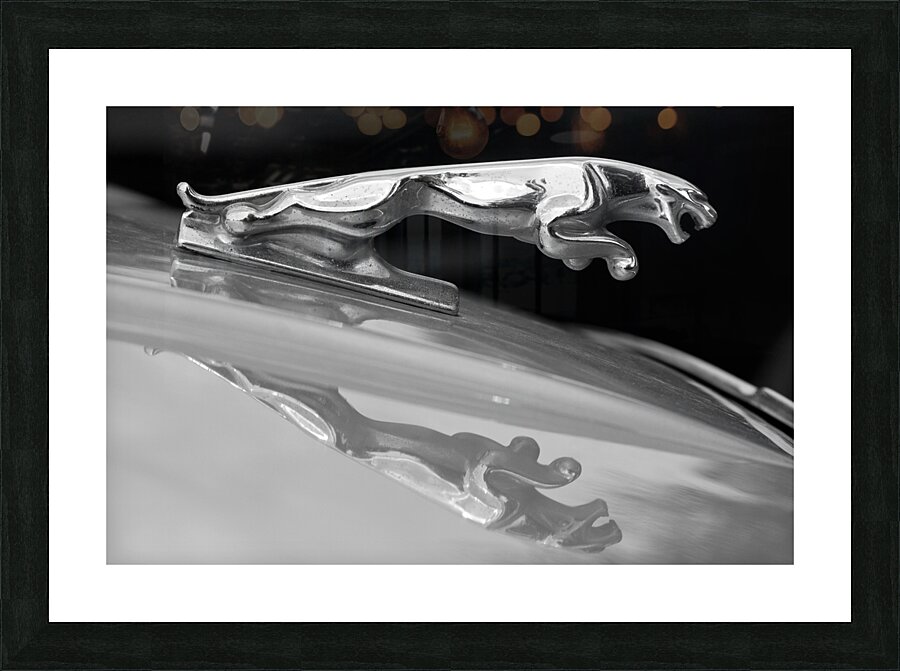 Jaguar Car Hood Ornament Reflection BW Impression et Cadre photo