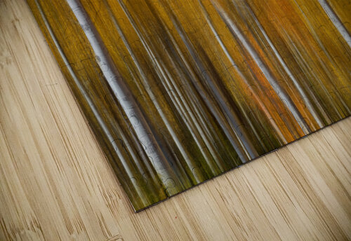 Sunny Colorful Aspen Tree Mix Bo Insogna puzzle