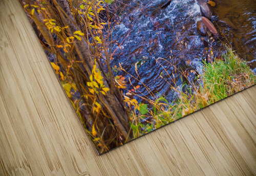 Golden Autumn Creek – Serene Fall Foliage Nature Photography Bo Insogna puzzle