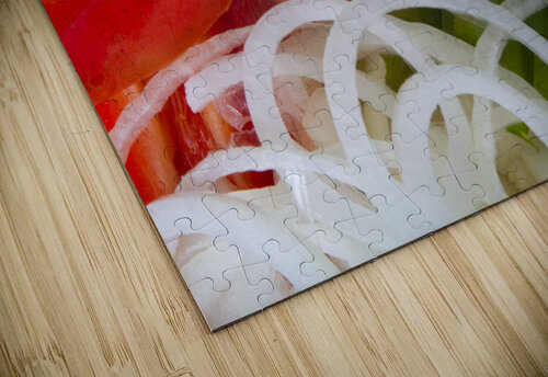 Raw Red Peppers Green Peppers and Onions Bo Insogna puzzle
