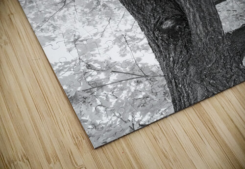 Branching Out in Timeless Black and White Elegance   Bo Insogna puzzle