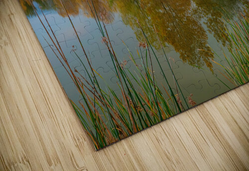 Just Another Beautiful Autumn Reflection Bo Insogna puzzle