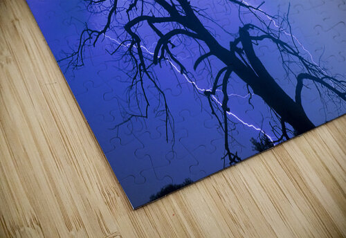 Lightning Tree Silhouette 38 Bo Insogna puzzle