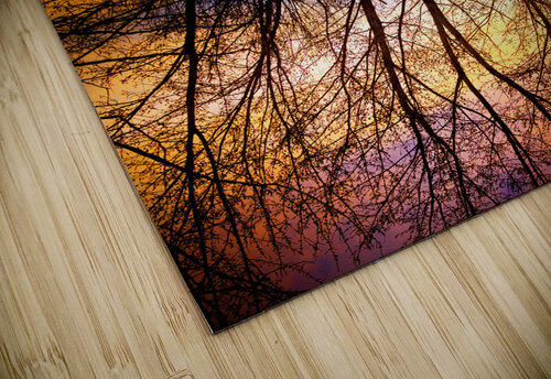 Sunset Tree Silhouette Abstract 1 Bo Insogna puzzle