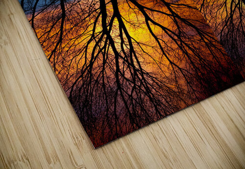 Sunset Tree Silhouette Abstract 4 1 Bo Insogna puzzle