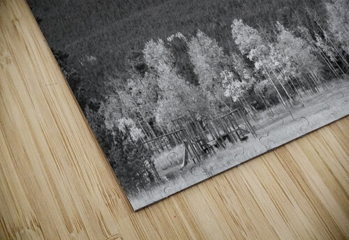 Colorado Americas Playground In Black and White Bo Insogna puzzle