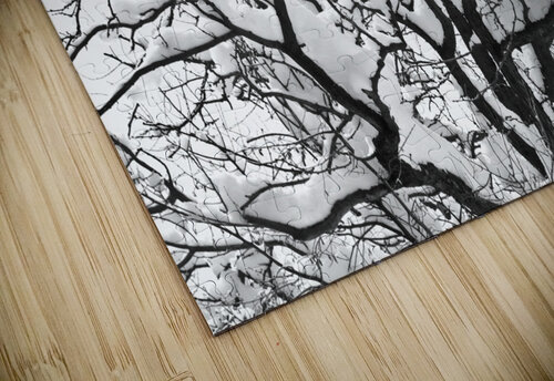 Snowy Tree Black and White Bo Insogna puzzle