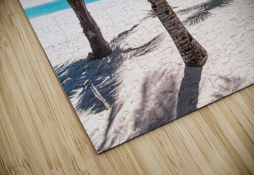 Tropical Vacation View Bo Insogna puzzle